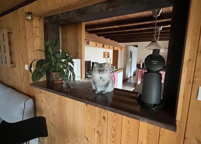 Apartmán Ferme Des Grands Blaise La Bresse